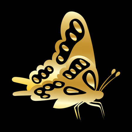 golden butterfly silhouette on black background isolated vectorのイラスト素材