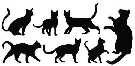 cats set silhouette, isolated on white background vectorのイラスト素材