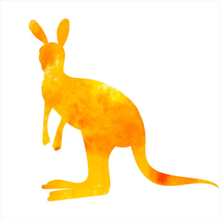 kangaroo watercolor silhouette, isolated on white background vectorのイラスト素材
