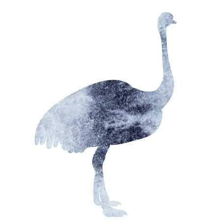 ostrich watercolor silhouette, isolated on white background vectorのイラスト素材