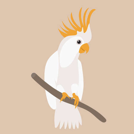 parrot on a branch flat design, isolated, vectorのイラスト素材