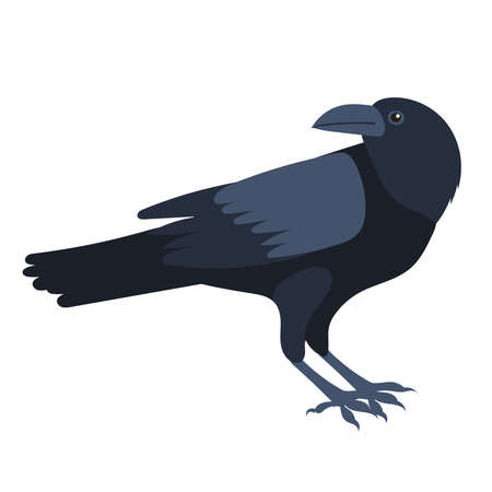 Raven flat design, isolated, vectorのイラスト素材