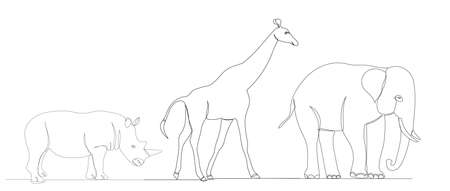 african animals continuous line drawing, sketch, vectorのイラスト素材