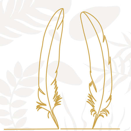 feather continuous line drawing, sketch, vectorのイラスト素材