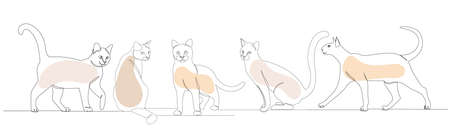 cats drawing by one continuous line, sketch vectorのイラスト素材