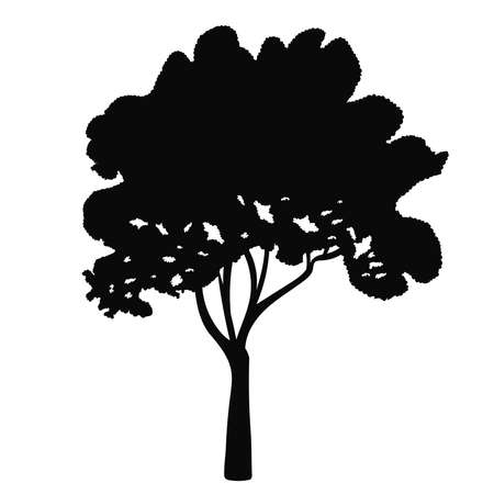tree black silhouette, on white background, isolated, vectorのイラスト素材