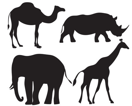 animals of africa silhouette, on white background, isolated, vectorのイラスト素材