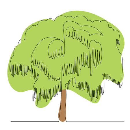 green tree drawing in one continuous line, isolated, vectorのイラスト素材
