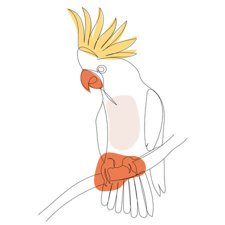 parrot drawing in one continuous line, isolated, vectorのイラスト素材