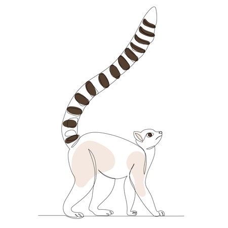 lemur drawing with one continuous line, isolated, vectorのイラスト素材