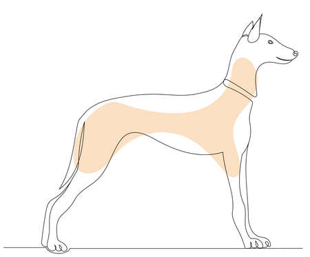 dog drawing in one continuous line, isolated, vectorのイラスト素材