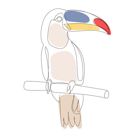 toucan one continuous line drawing,vectorのイラスト素材