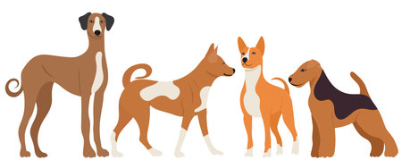 dogs of different breeds flat designのイラスト素材