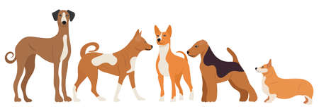 dogs set in flat design isolatedのイラスト素材