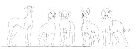 dogs drawing in one continuous line, sketch, isolated, vectorのイラスト素材