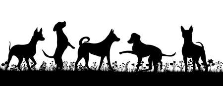 dogs playing silhouette on white background, isolated, vectorのイラスト素材