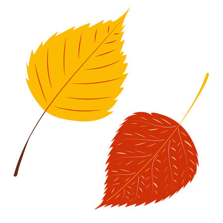 autumn leaf in flat design, isolatedのイラスト素材