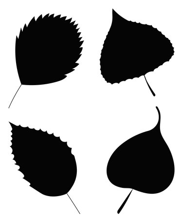 leaves silhouette on white background, isolated, vectorのイラスト素材