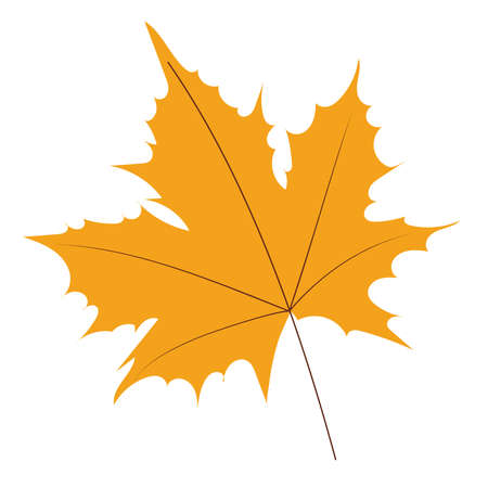 autumn leaf flat designのイラスト素材