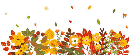 autumn leaves and flowers in flat design, isolated vector