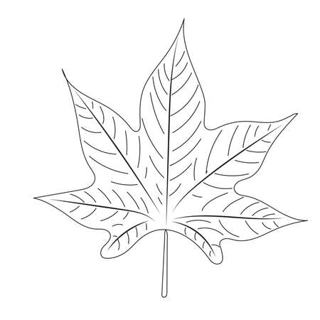 tree leaf doodle on white background, isolatedのイラスト素材