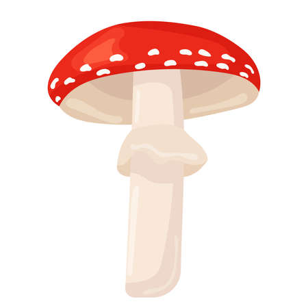 fly agaric mushroom in flat design isolated , vectorのイラスト素材