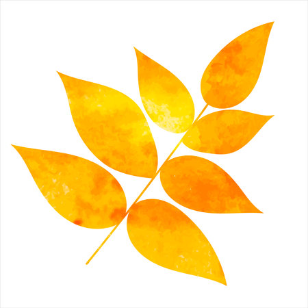 leaf watercolor silhouette isolated, vectorのイラスト素材