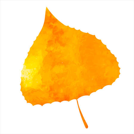 tree leaf watercolor silhouette isolated, vectorのイラスト素材