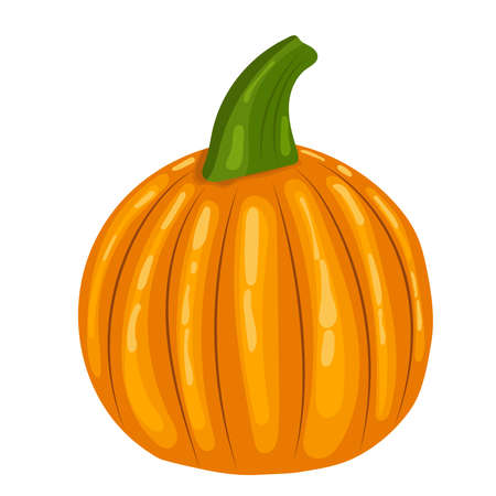 pumpkin in flat style, isolated, vectorのイラスト素材