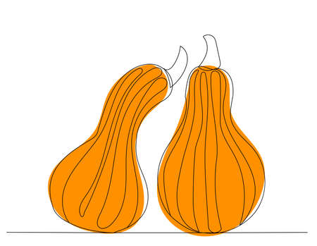 pumpkin orange drawing one continuous line vectorのイラスト素材