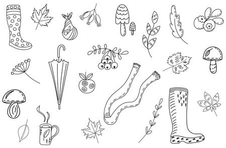 set of autumn items doodle outline, sketch on white backgroundのイラスト素材