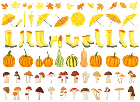 set of umbrellas, pumpkins, mushrooms, boots in flat style, vectorのイラスト素材