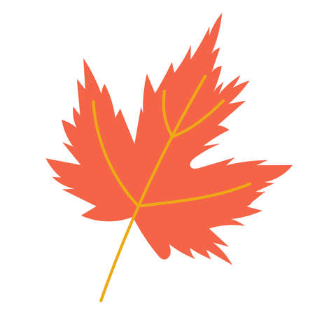 maple leaf in doodle style isolated vectorのイラスト素材