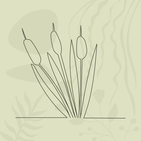 reeds drawing by one continuous line, on abstract background vectorのイラスト素材
