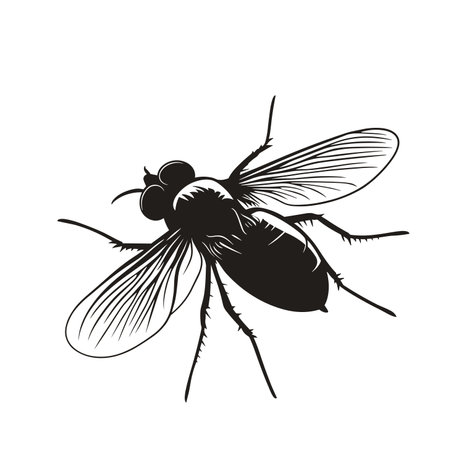 vector silhouette of a fly on a white background .Generative AIのイラスト素材