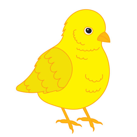 Cute yellow chick isolated on a white background. Vector illustration.のイラスト素材