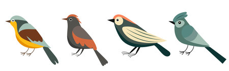 Set of birds isolated on white background. Vector illustration in flat style.のイラスト素材