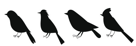 Set of silhouettes of birds on a white background. Vector illustrationのイラスト素材