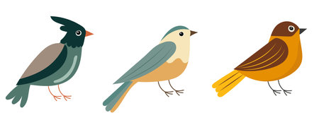 Set of birds on a white background. Vector illustration in flat style.のイラスト素材