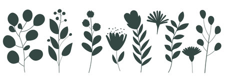Set of hand drawn floral elements. Vector illustration. Black and whiteのイラスト素材