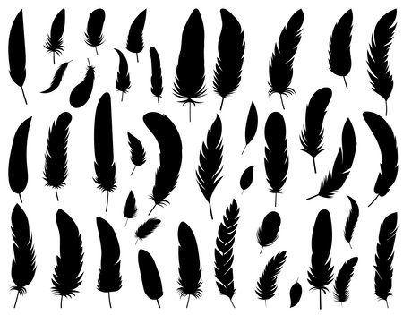 Feathers black silhouettes isolated on white background. Vector illustrationのイラスト素材