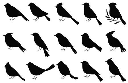 set of bird silhouette on white background, vectorのイラスト素材