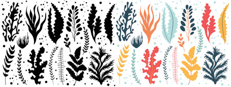 seaweed silhouette set, isolated, vectorのイラスト素材