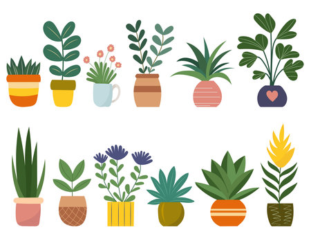 set of houseplants in pots in flat style isolated on white background, vectorのイラスト素材