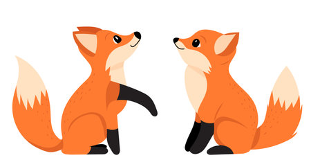 cubs character in flat style, vectorのイラスト素材