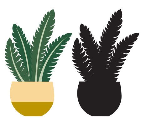 potted houseplant on white backgroundのイラスト素材
