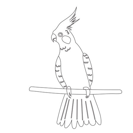 parrot sitting on a branch sketch, on a white background, vector
