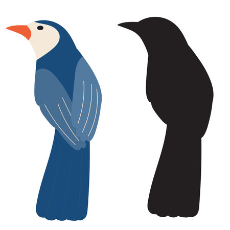 blue bird in flat style with silhouette on white background, vectorのイラスト素材