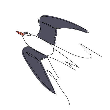 Flying swallow isolated on white background. Vector illustration in sketch style.