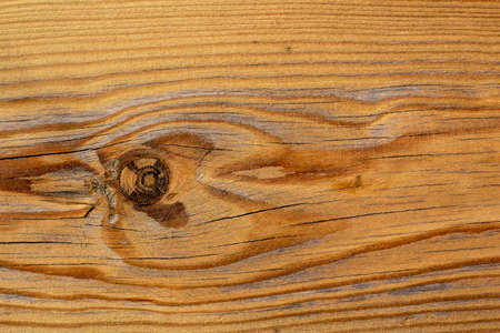 Wood texture with knot. Pine surface.の写真素材
